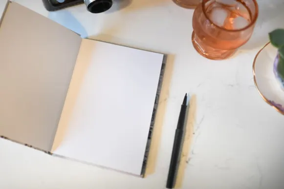 كازينو مس فيغاس الدعم